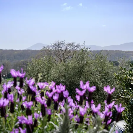 Bed and breakfast Rossella *